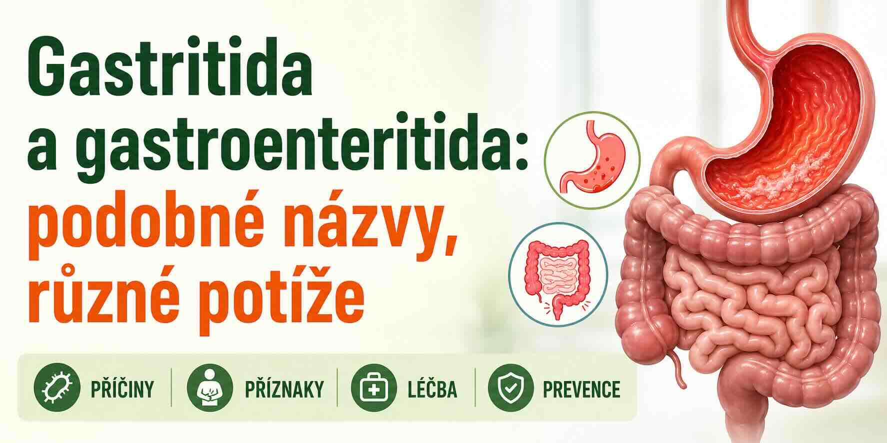 Gastritida a gastroenteritida: podobné názvy, různé potíže