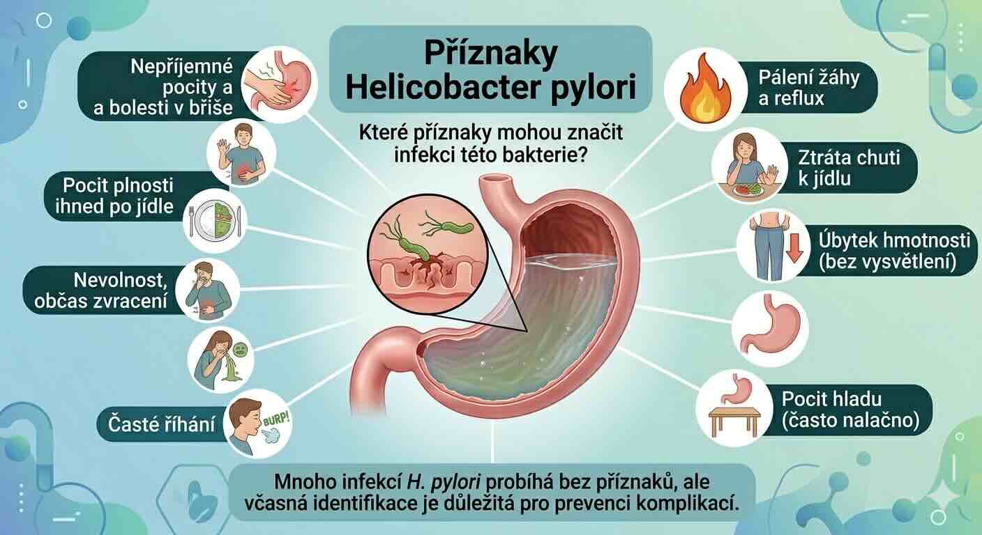 Helicobacter pylori